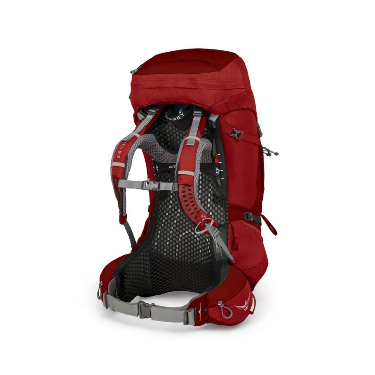 Osprey Atmos AG 65 Backpack with Raincover - Medium - Men's Backpacking