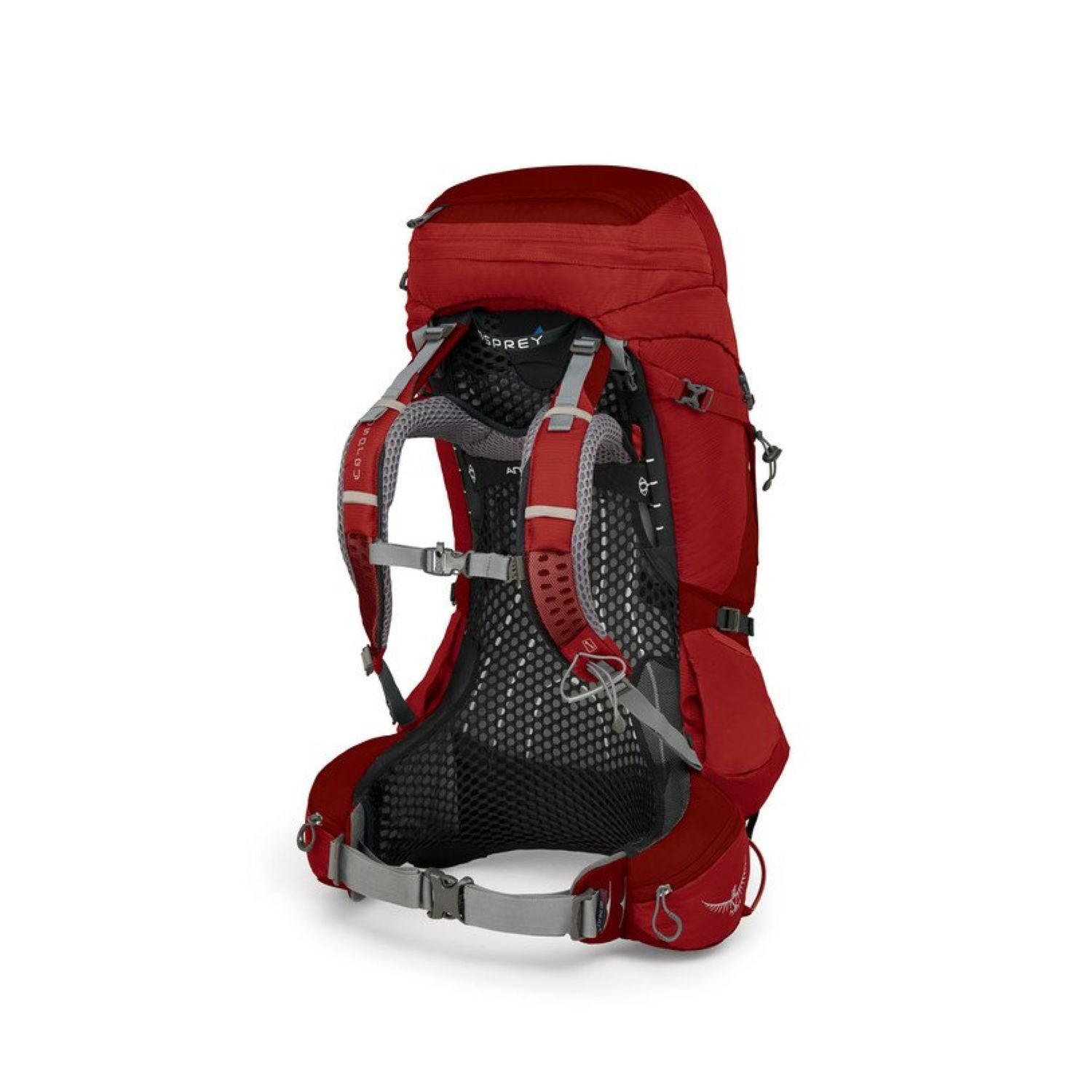Osprey Atmos AG 50 Backpack with Raincover - Medium - Men's Backpacking