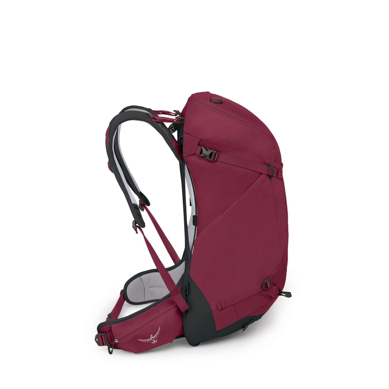 Osprey Hikelite 32 Backpack M/L