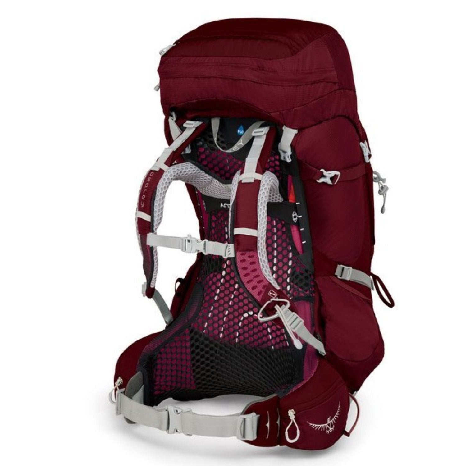 Osprey Aura AG 65 Backpack with Raincover - Medium - Women's Backpacking