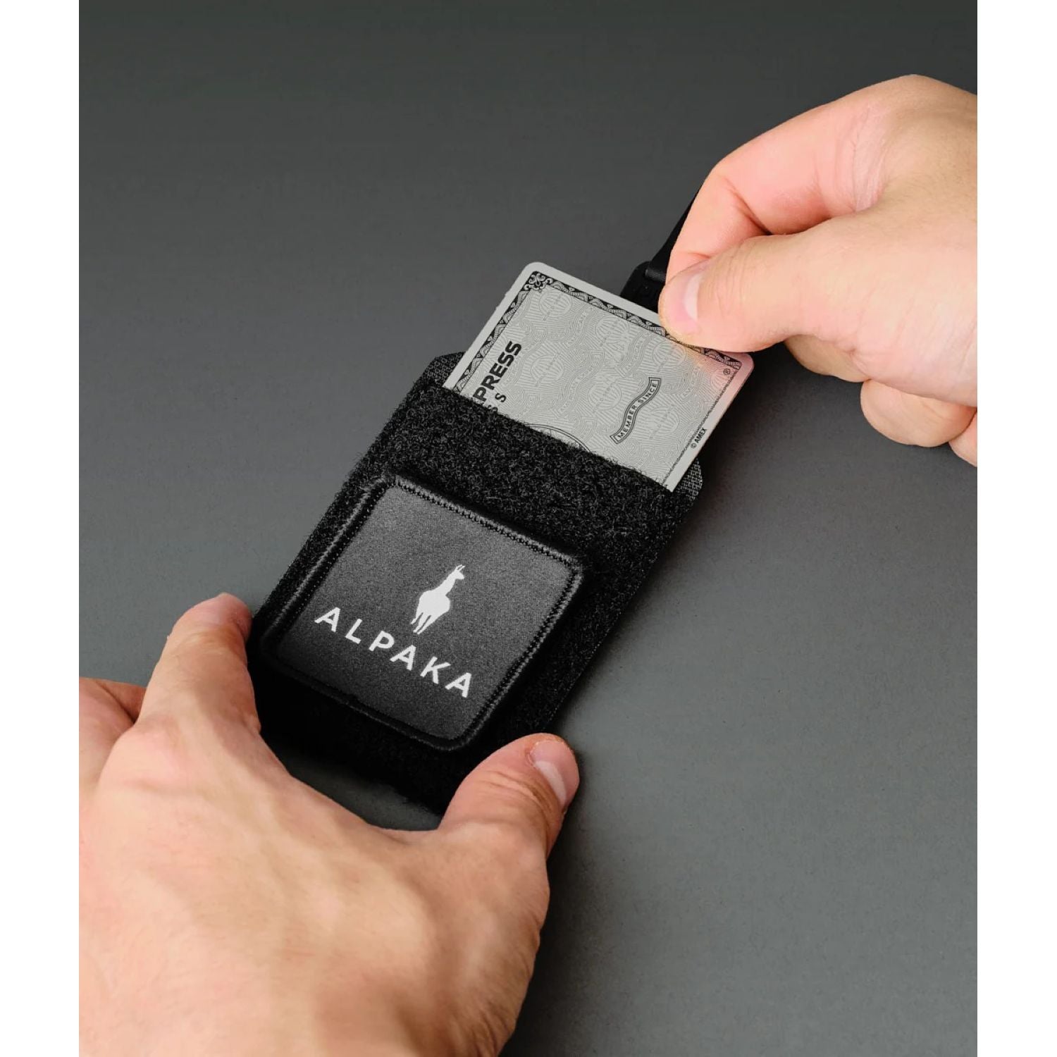 ALPAKA Hub Patch Panel