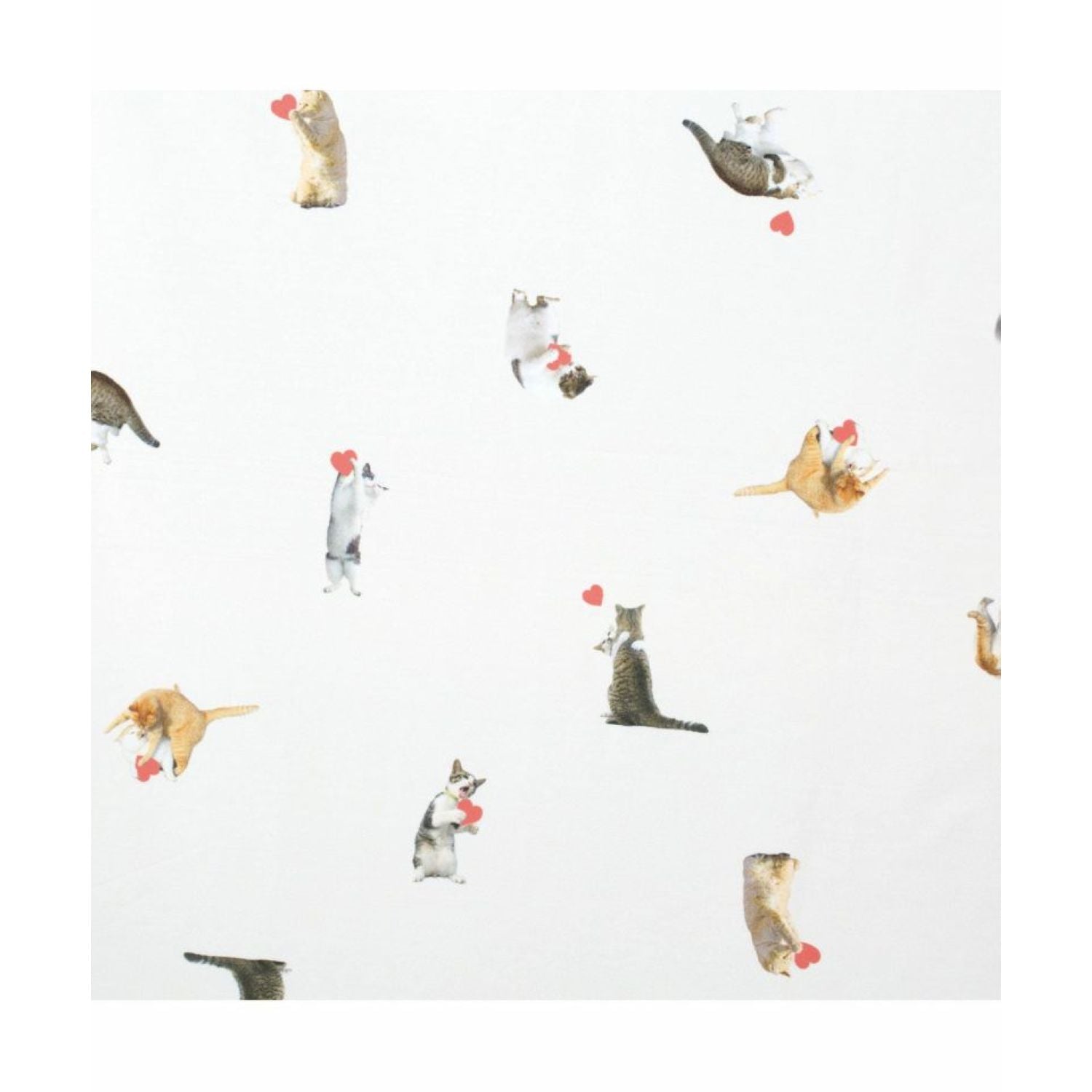 WPC X Masayuki Oki Neko (2025) UV Protection UPF 50+ Umbrella 49cm