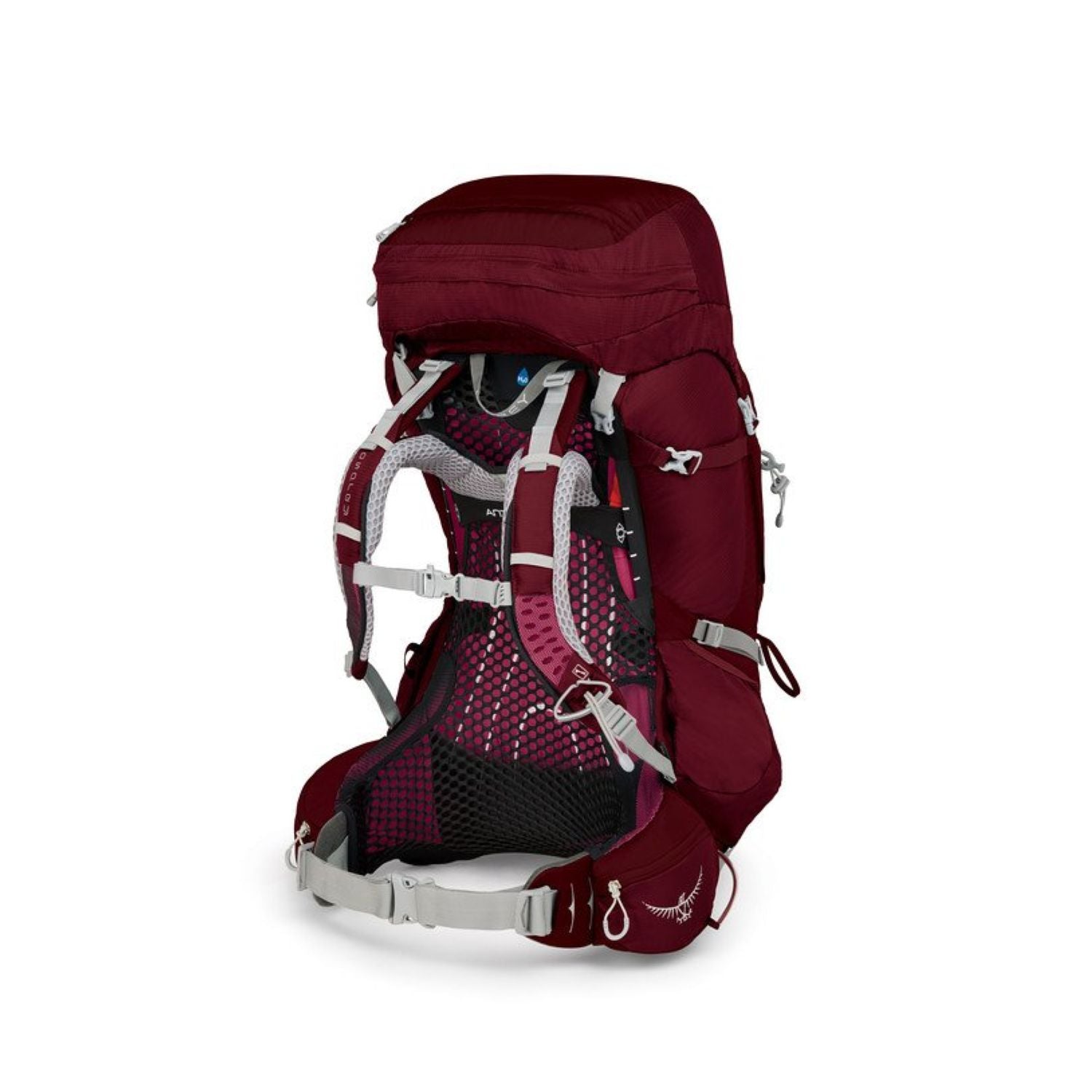 Osprey Aura AG 65 Backpack with Raincover - Small - Women's Backpacking