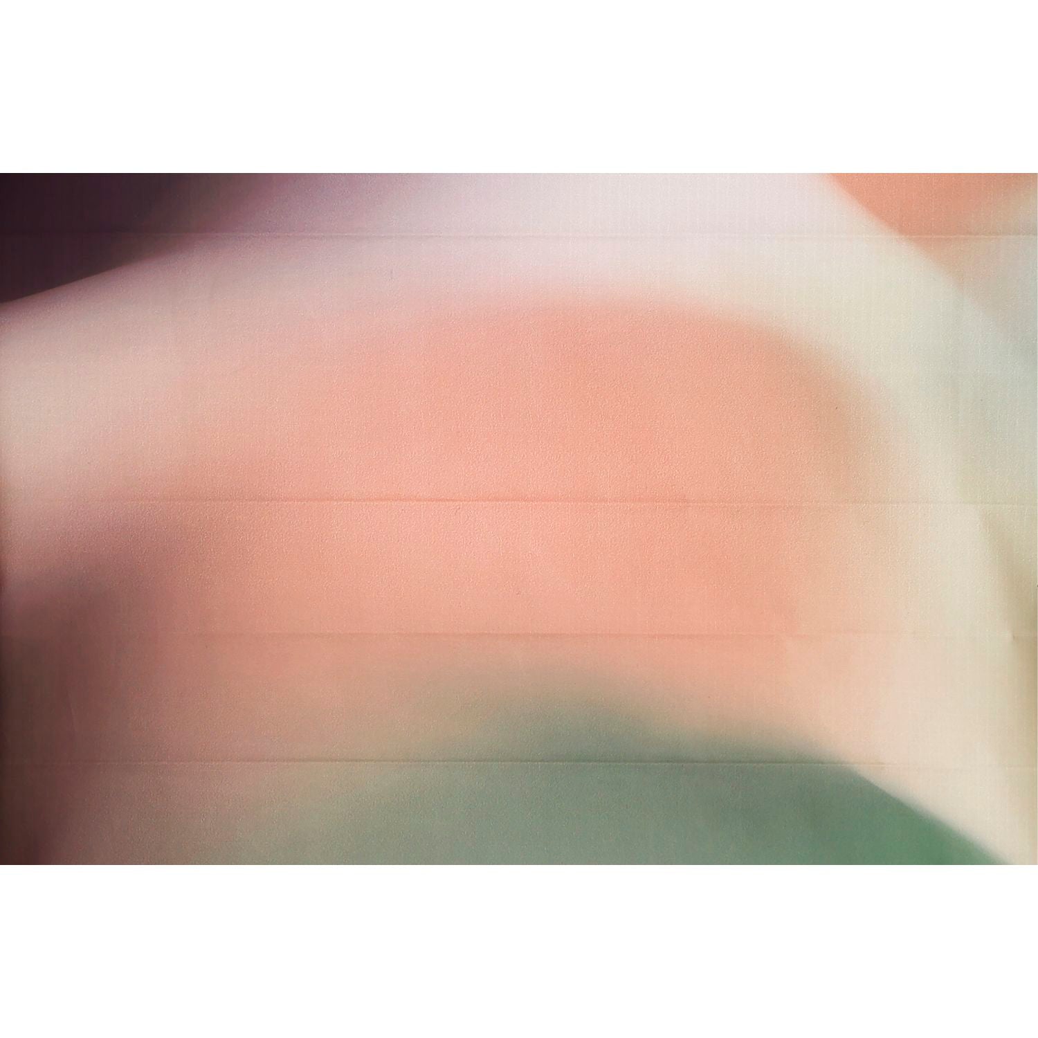 Shupatto X Mountain Views Recycled Tote (M)