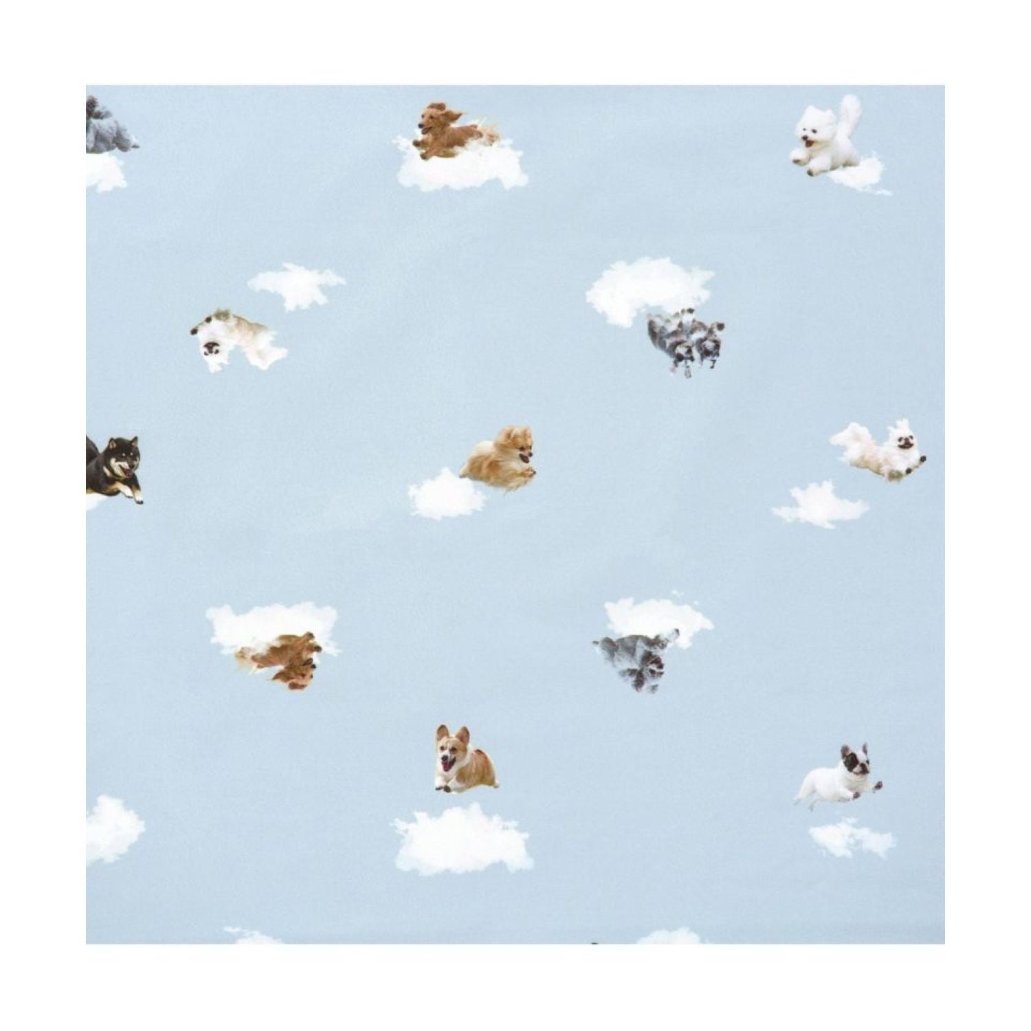 WPC Hikouken (2025) UV Protection UPF 50+ Umbrella 47cm